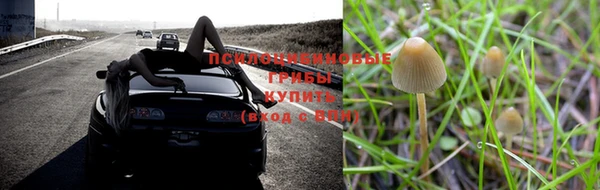 ПСИЛОЦИБИНОВЫЕ ГРИБЫ Верхнеуральск