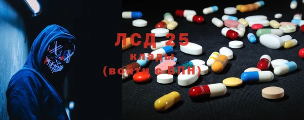 ПСИЛОЦИБИНОВЫЕ ГРИБЫ Верхнеуральск