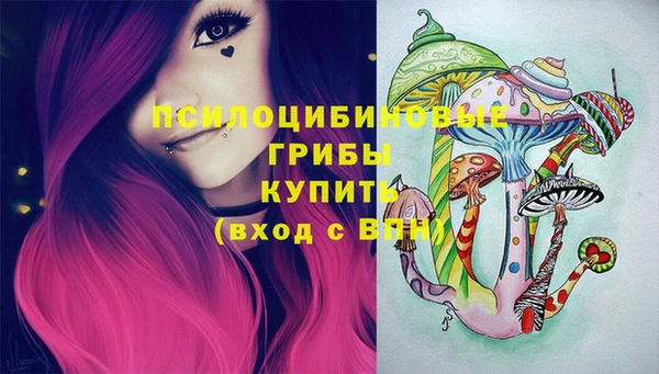 ПСИЛОЦИБИНОВЫЕ ГРИБЫ Верхнеуральск
