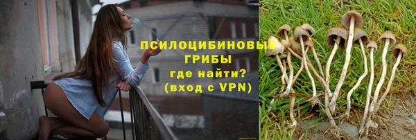 ПСИЛОЦИБИНОВЫЕ ГРИБЫ Верхнеуральск