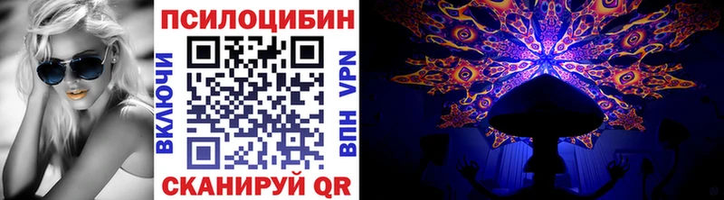 Псилоцибиновые грибы Psilocybine cubensis  Перевоз 